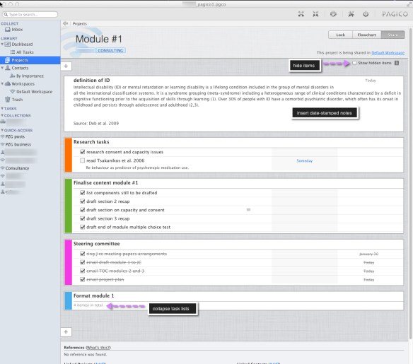 The project view in Pagico 6 for desktop.